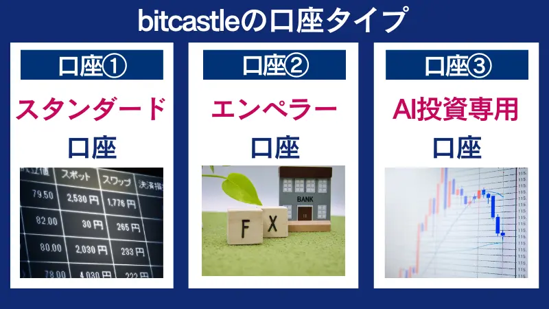 bitcastle(ビットキャッスル)の口座タイプ